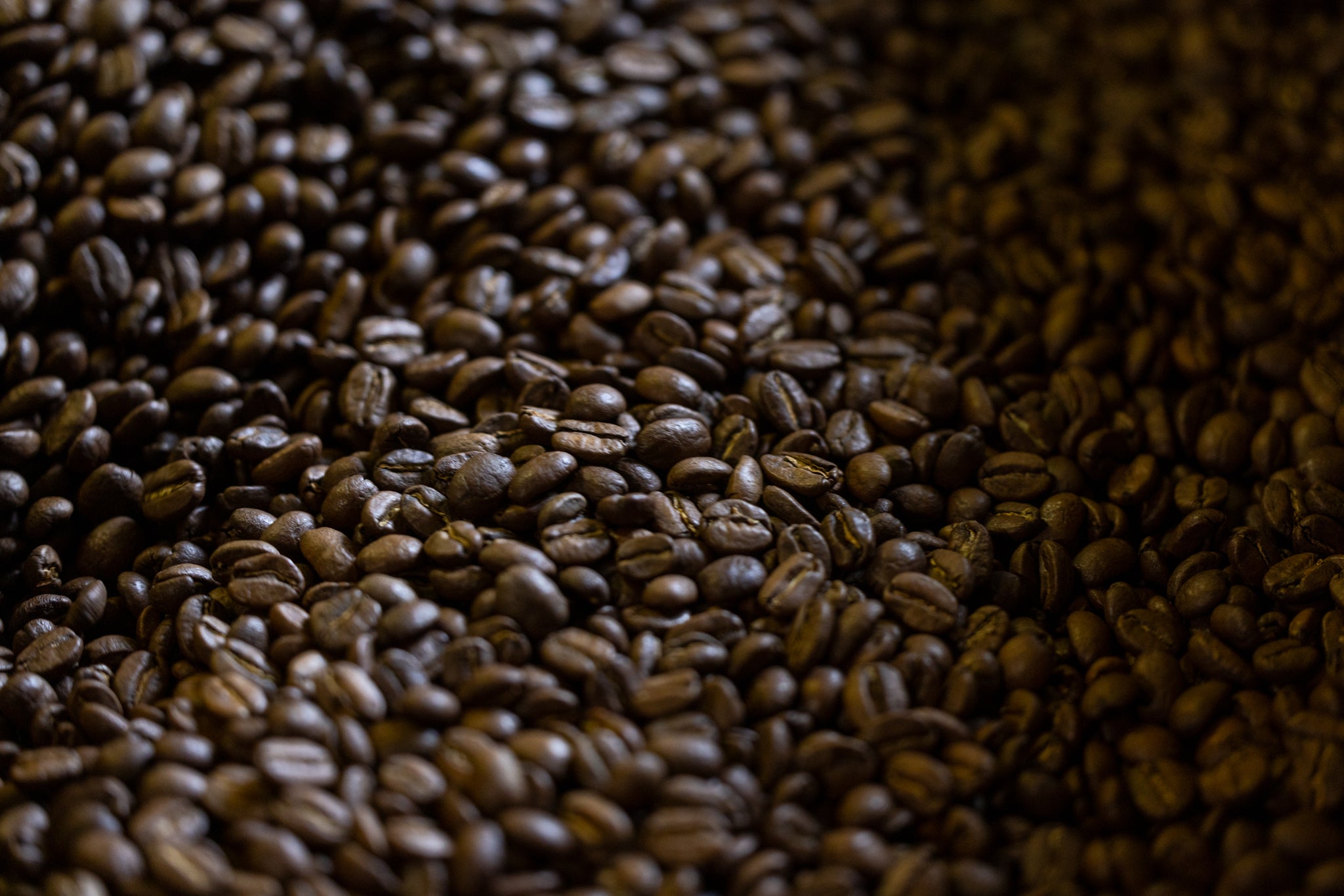 Blue Mountain Jamaican Coffee Roast🔥☕ Coffee Roasting Journey ☕🔥